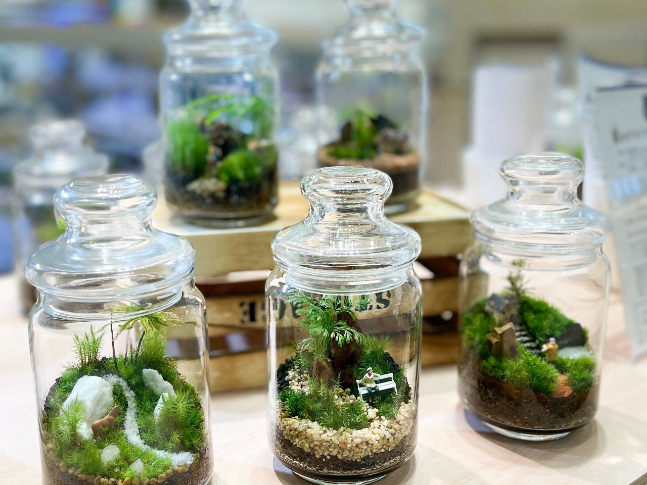 東京・文京・後楽園】ガラス瓶で作る苔のテラリウム（90分