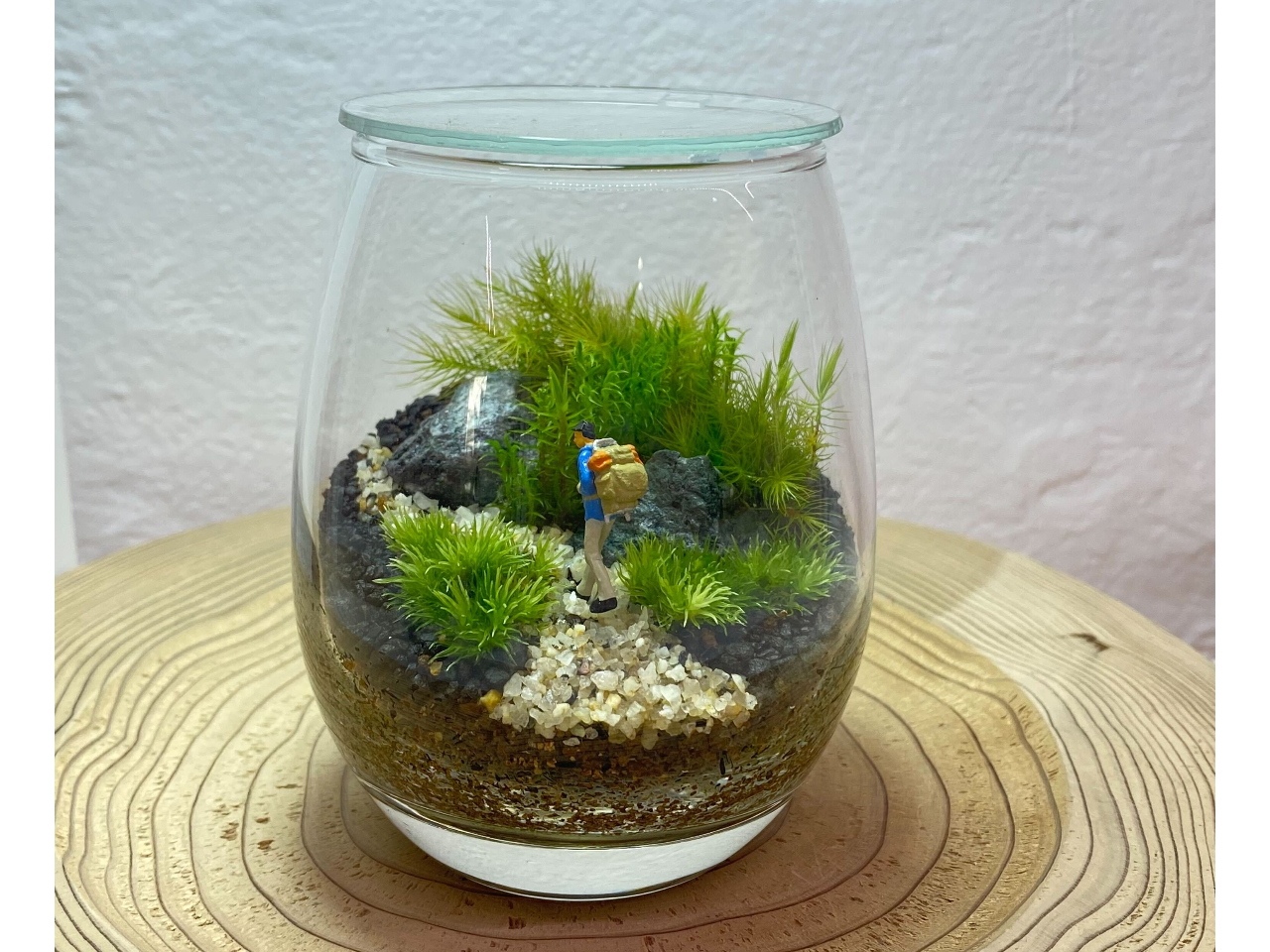 東京・文京・後楽園】しずくボトルで作る苔のテラリウム（90分