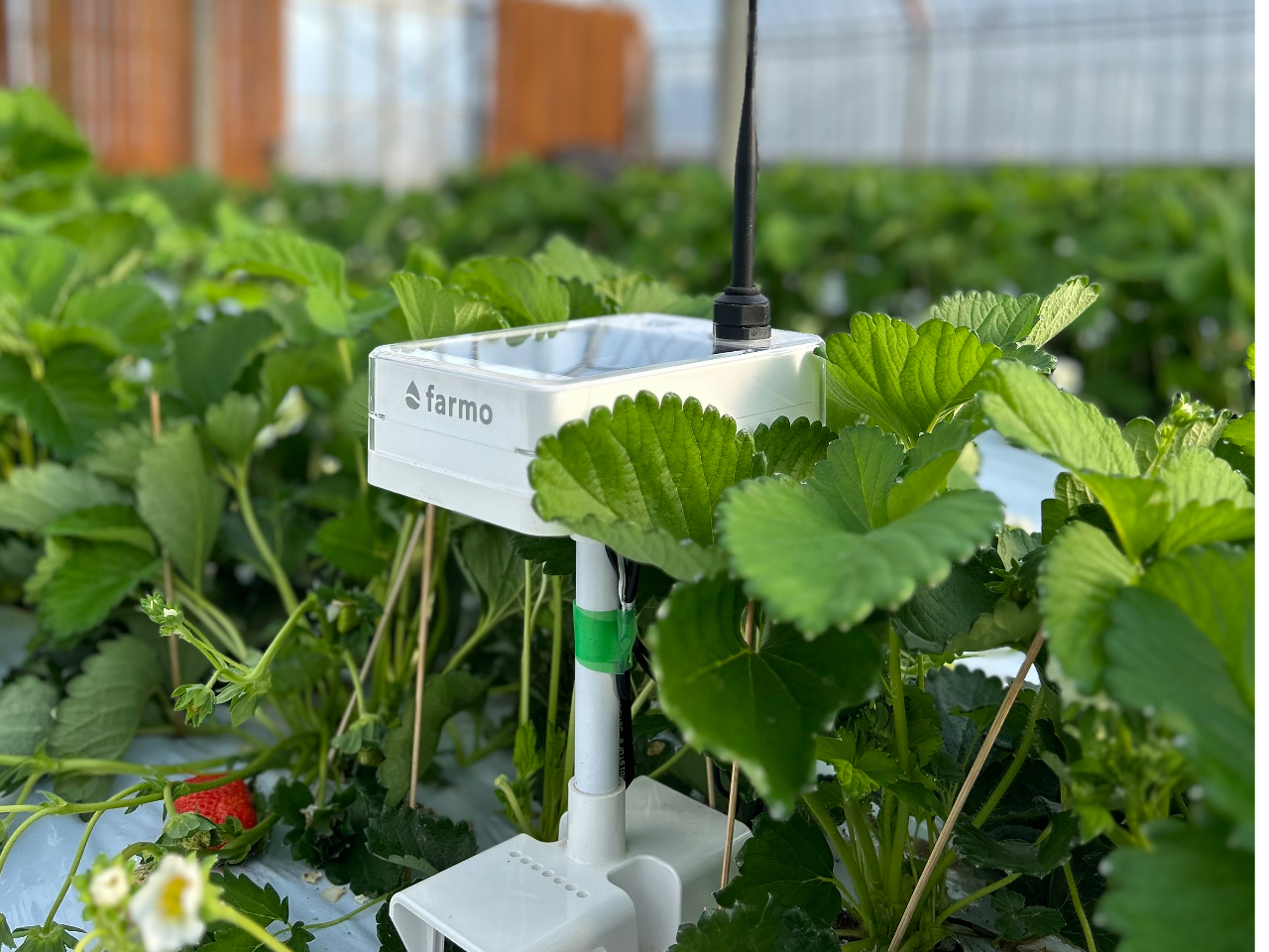 farmoŃnEX̊ǗĂ܂B