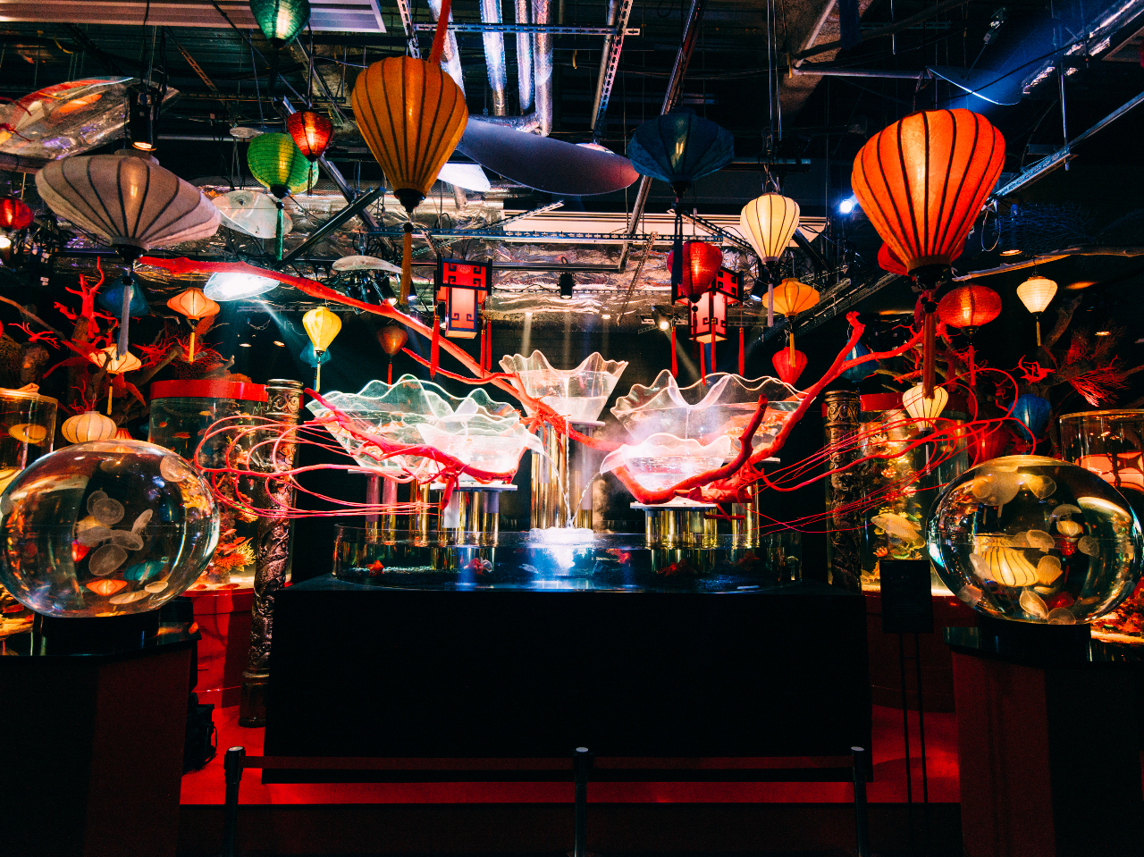  닳̃ANaEًԕ\̃CGAB ̊C̒ɂ间{C[WԍiB