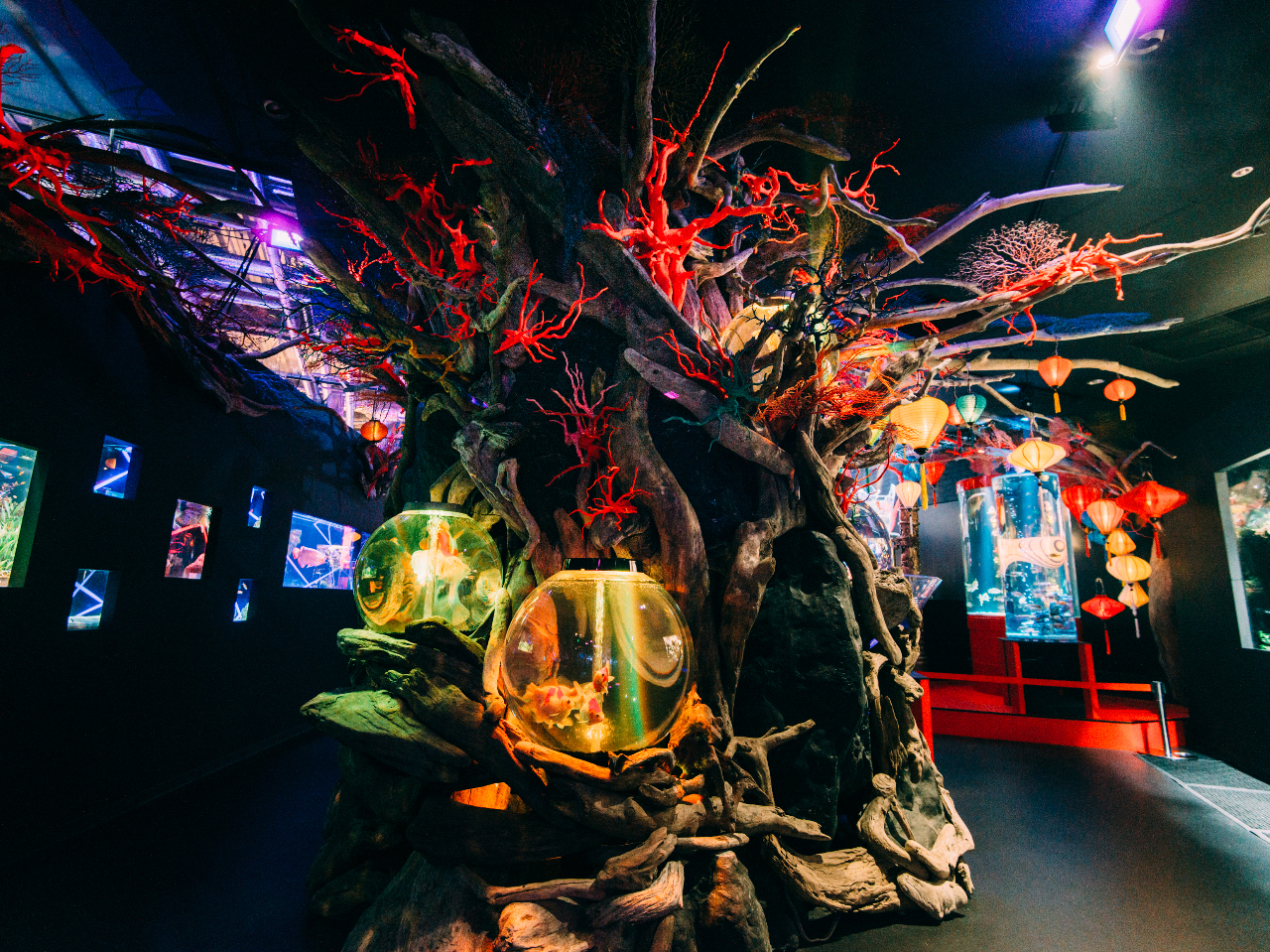 前売りチケット・平日】日本の「雅ーみやびー」をアクアリウムで体感