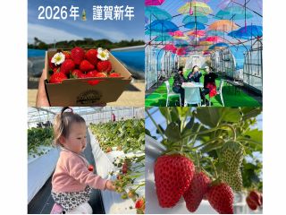 今年初めの初いちご狩り!