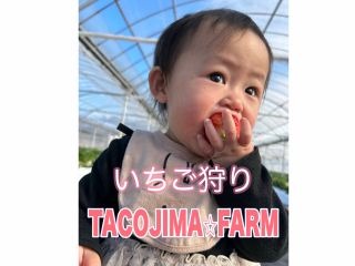 最大7品種のいちごを食べ比べ!お好きないちごをぜひ見つけてください♪