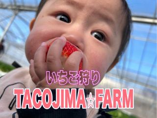 最大7品種のいちごを食べ比べ!お好きないちごをぜひ見つけてください♪