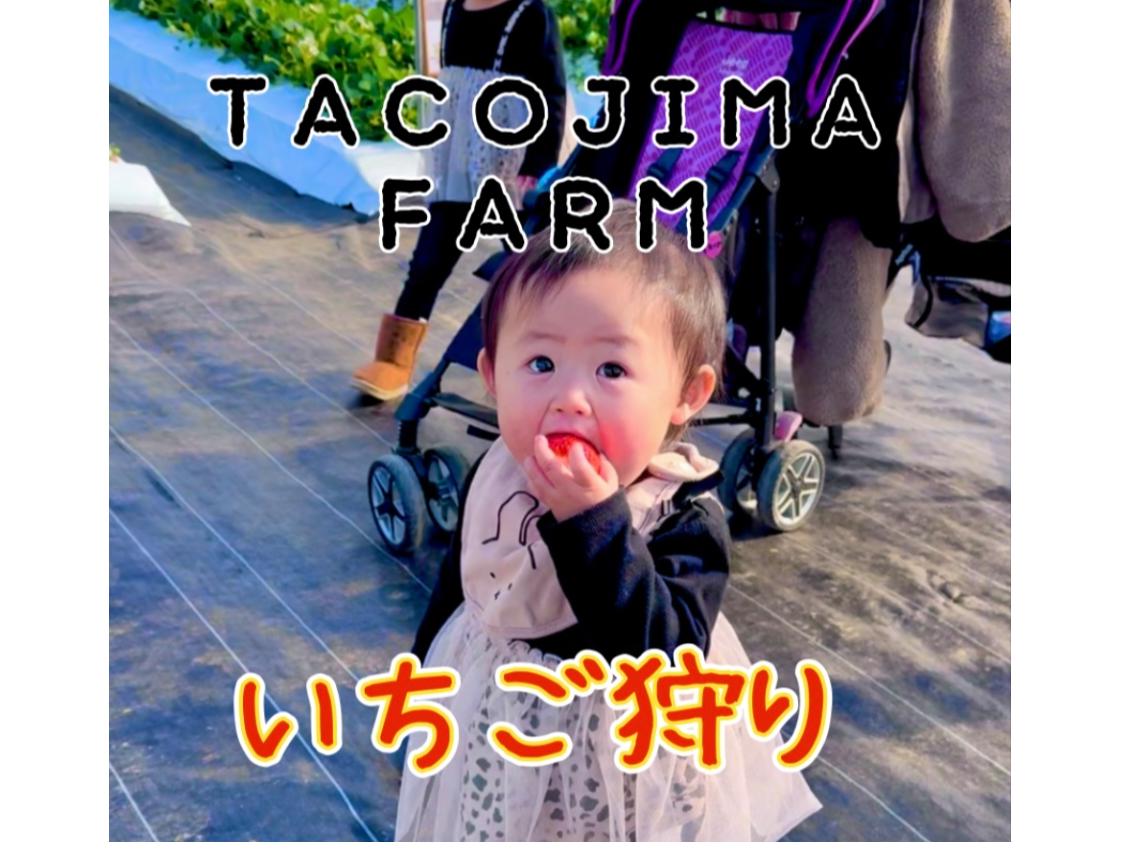 �ő�7�i��̂�������H�ה�ׁI���D���Ȃ����������Ќ����Ă���������