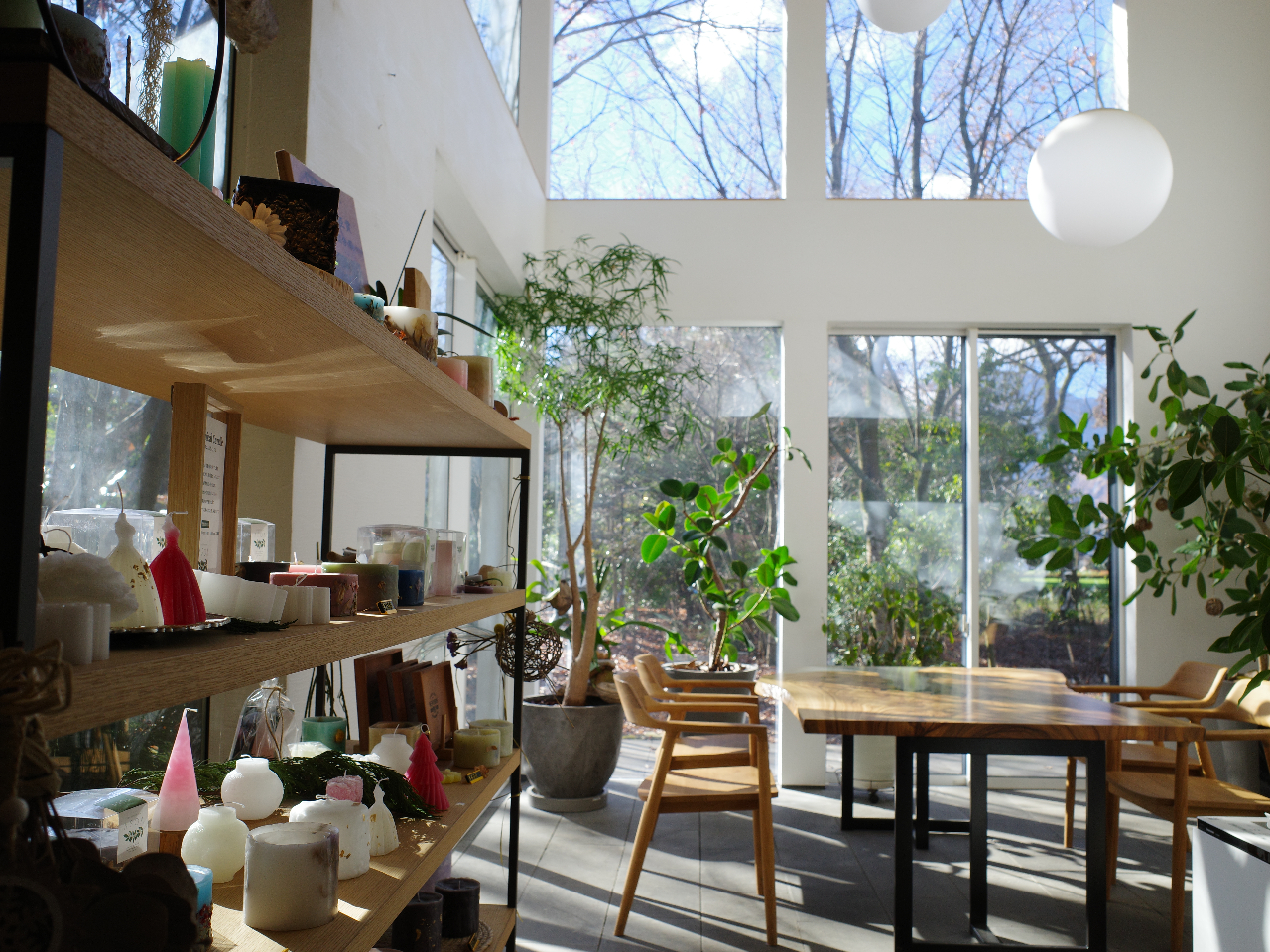 h̗тɈ͂܂ꂽ̋Ԃł̐̌ɂȂ܂