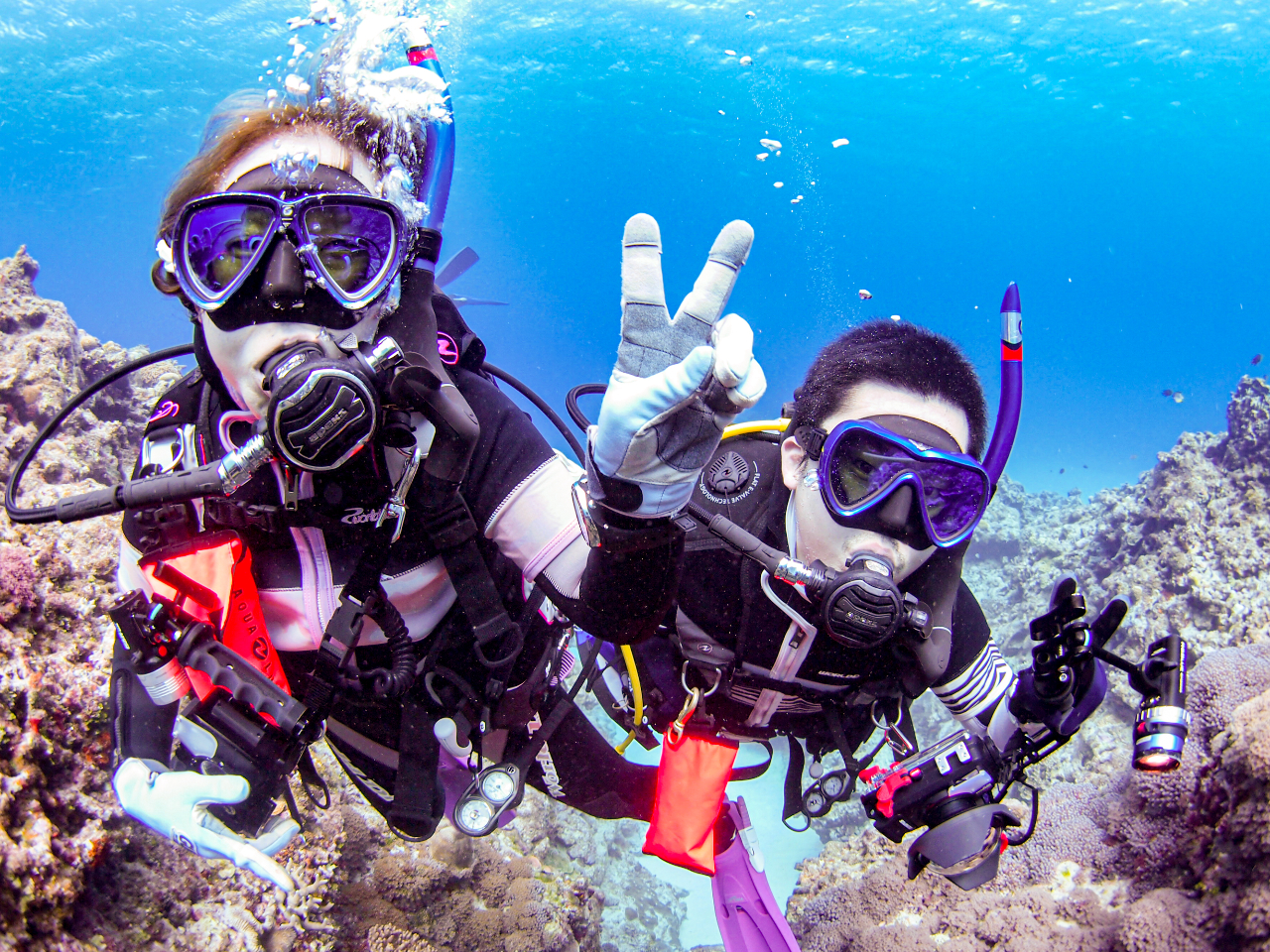 海の中はまるで別世界!カラフルなお魚達が目の前で見れますよ!