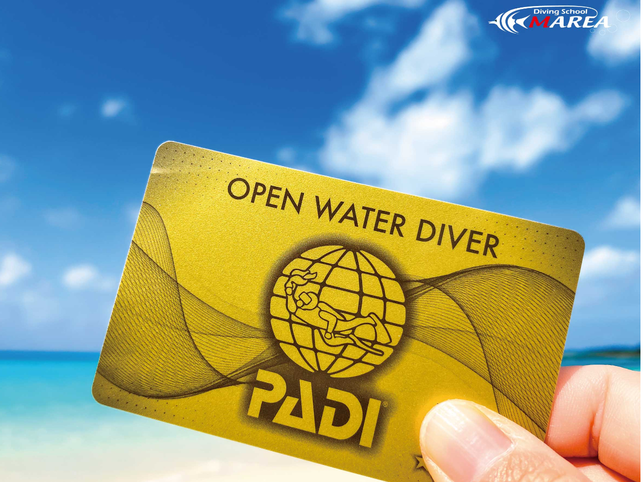 �}���A�͑S�XPADI�S�[���hC�J�[�h���s�X�I����͐�����PADI�V���b�v�̒��ł����S�̏�