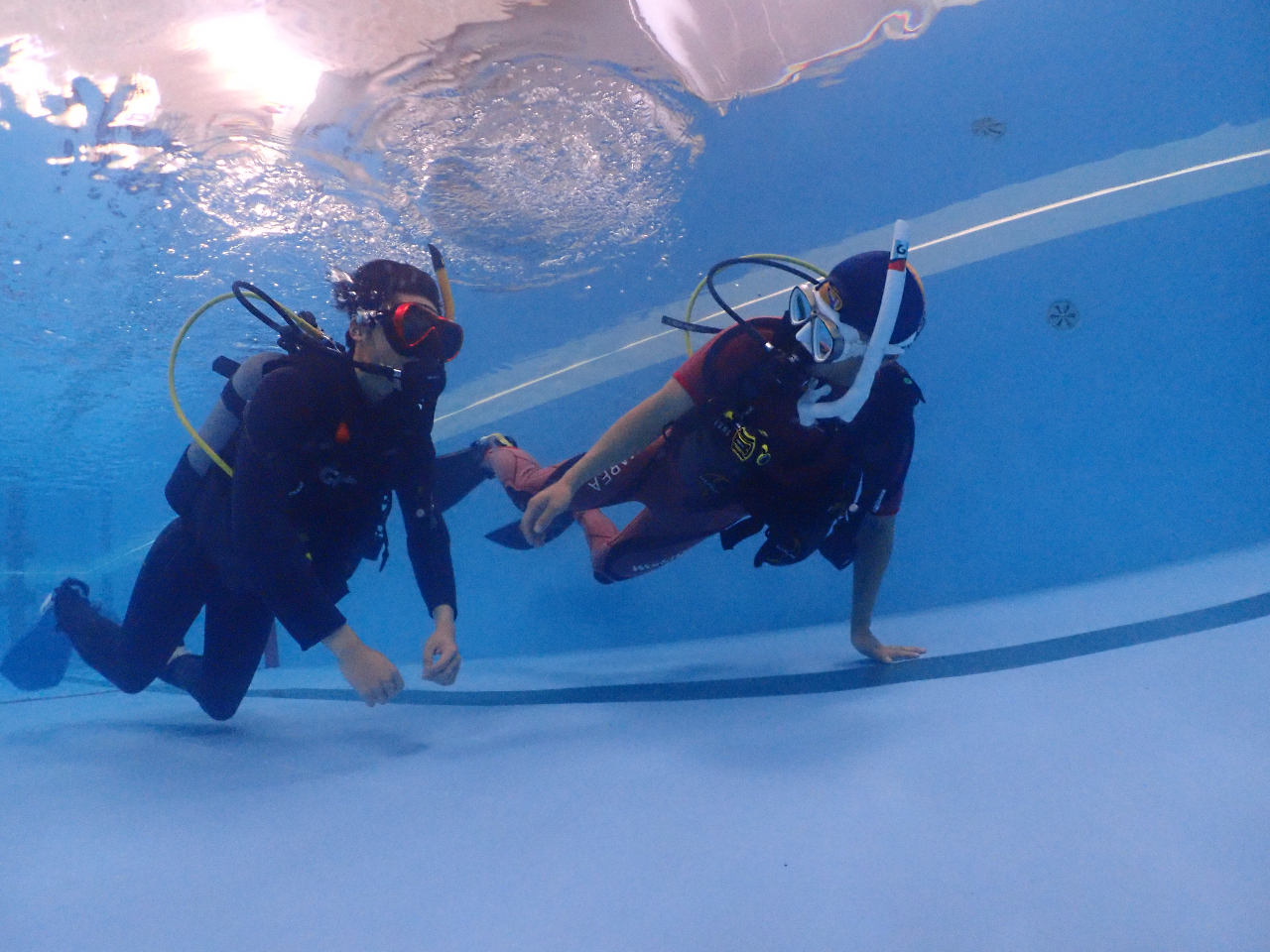 ����Ă����琅�����j���܂���t�B�����g���ď����Âj���܂��I�̂�т�y���݂܂��傤�I