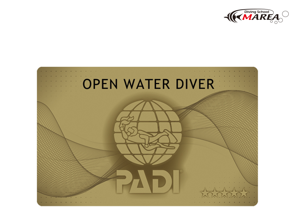 �}���A�͑S�XPADI�S�[���hC�J�[�h���s�X�I����͐�����PADI�V���b�v�̒��ł����S�̏�