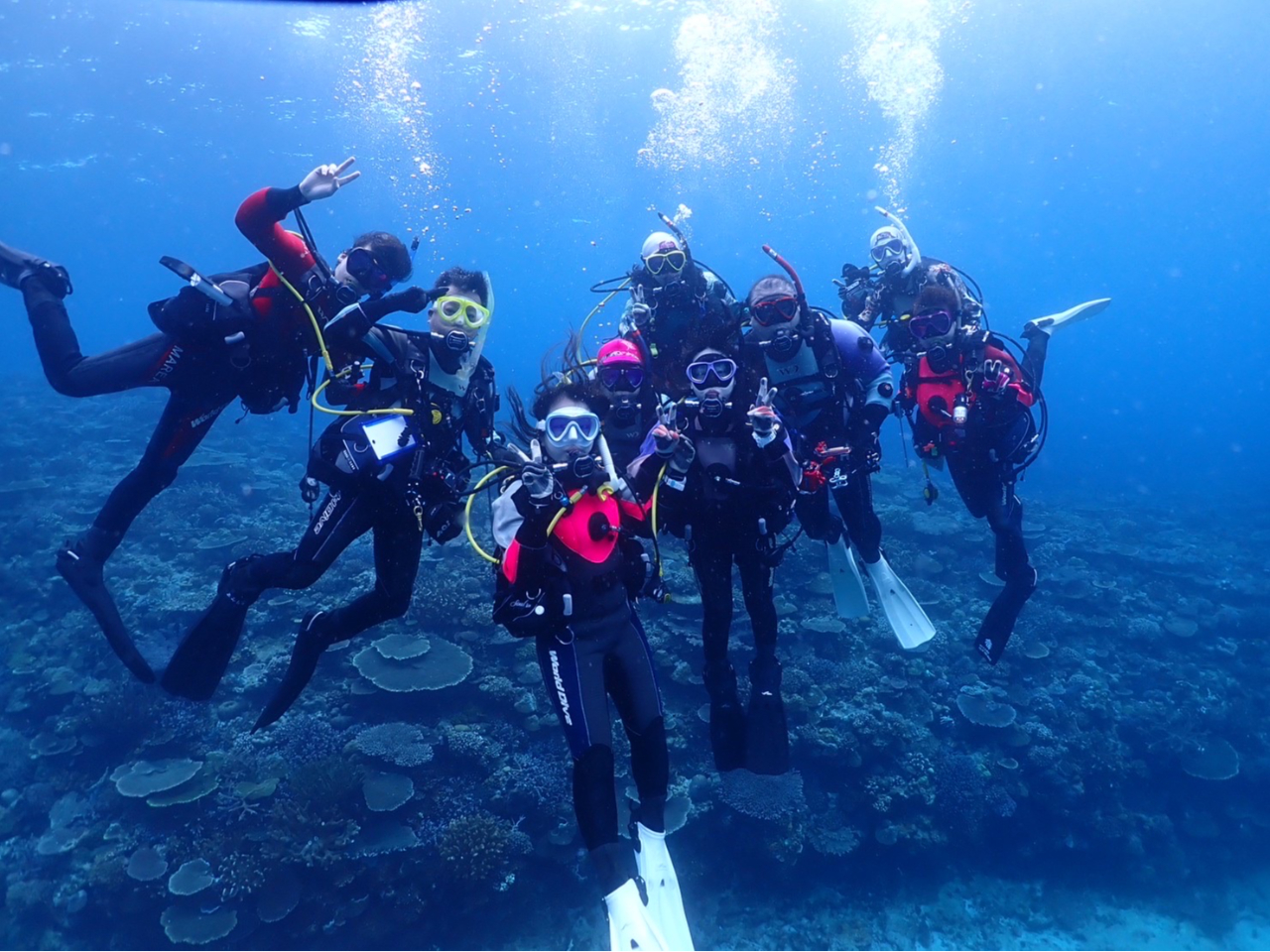 CŐ_Co[ɂȂΈɓ≫ACOȂǐE̊CŃ_CrOy߂܂ICyɃv[̌為ЃX^[g܂傤I