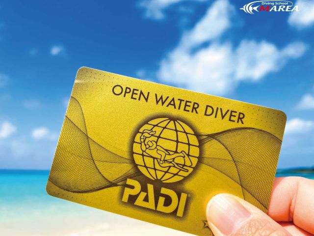 マレアは全店PADIゴールドCカード発行店!これは数あるPADIショップの中でも安心の証