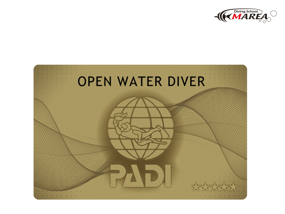 マレアは全店PADIゴールドCカード発行店!これは数あるPADIショップの中でも安心の証