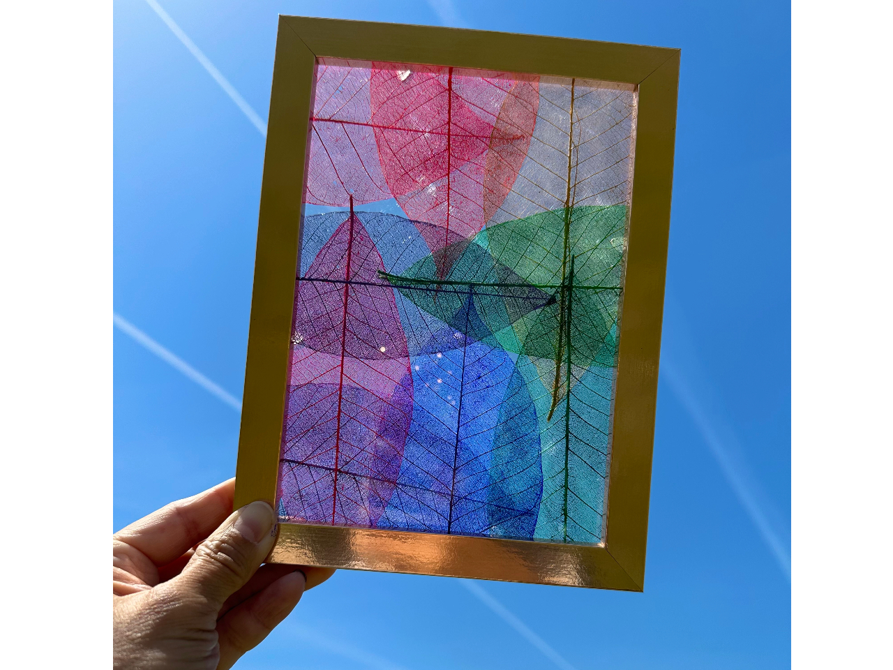 ��{S�T�C�Y�z�@�I�v�V�����Ȃ�