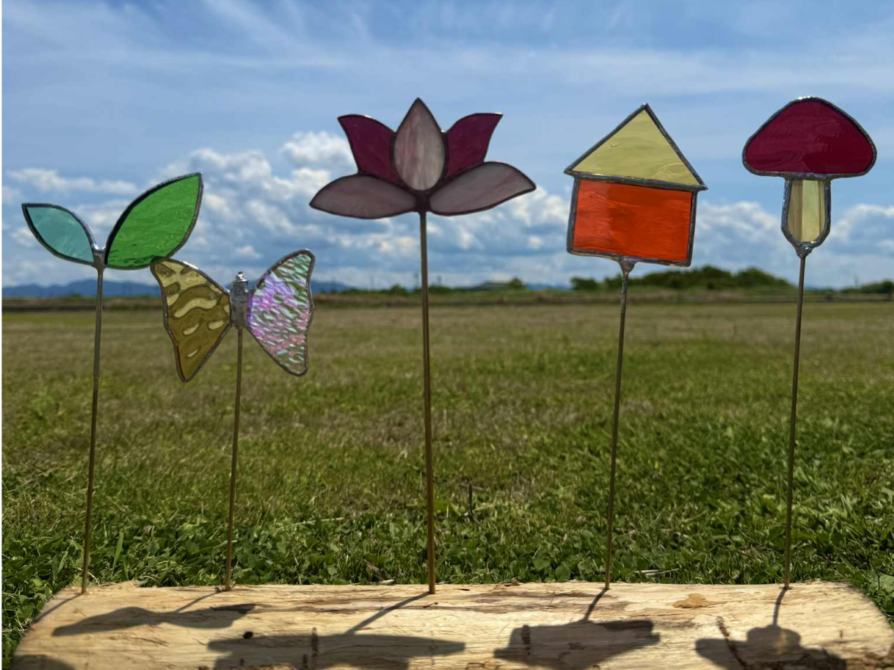 ��{�@�K�[�f���s�b�N�@�K���X2���@4,500�~?