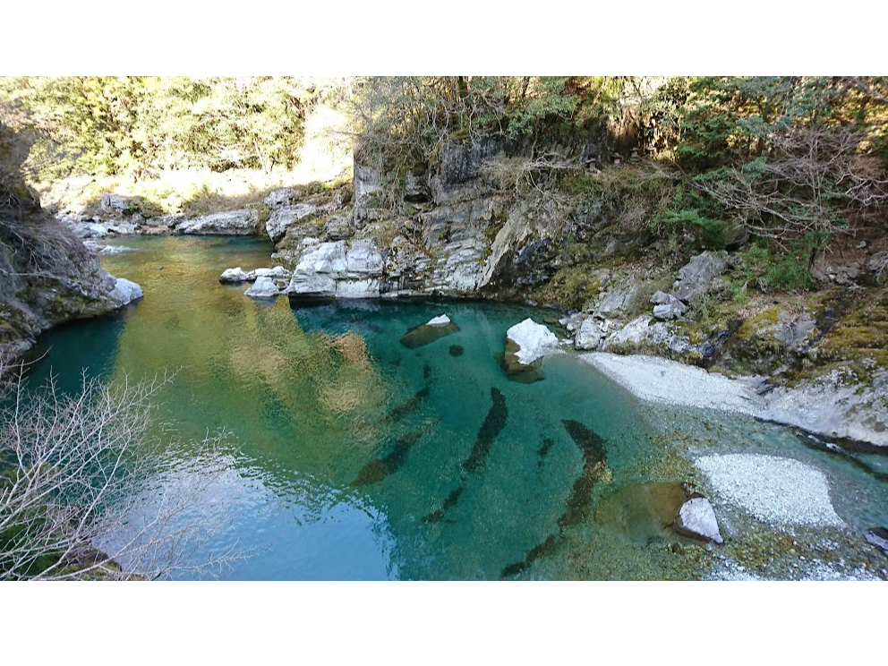 美しい土居川源流