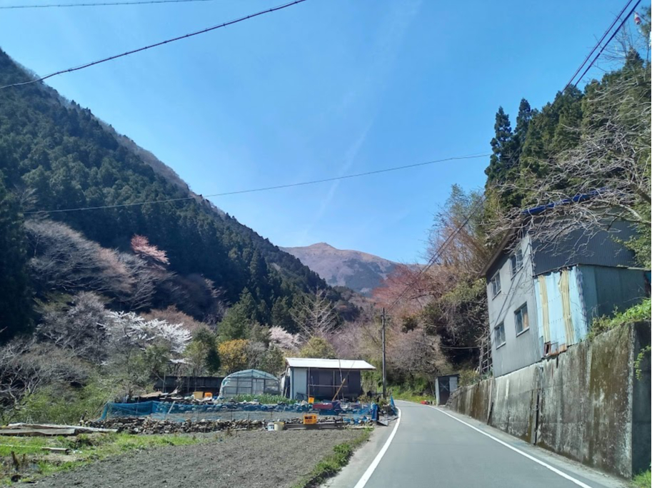 1541m̒Ö_R̂ӂƂɂ㖼B