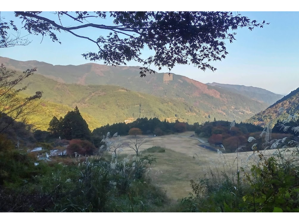 �q��N�����߂ď㖼���ɗ����̂�11���B���̂Ƃ��A���}�g�O�T�̉Ԃ͖��������̂Łc�B