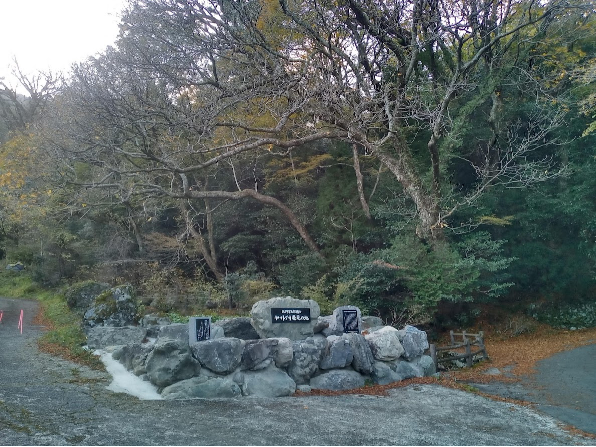 �ӏH�̃��}�g�O�T�����L�O��B