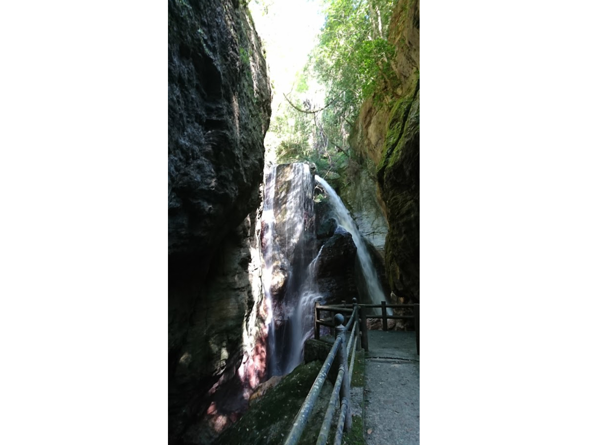 �J���̑�́A�u�k��̂����v�ƌ����Ă����B