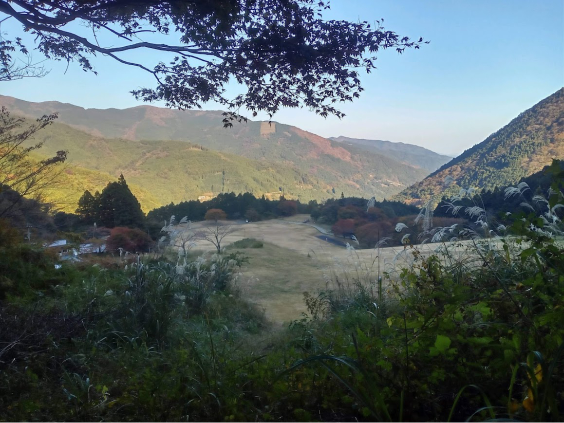 ���}�g�O�T�̐X�̓����猩����X�J�C�p�[�N�̑���