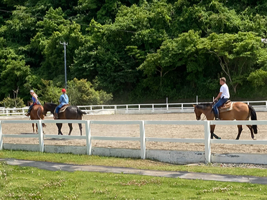【乗馬体験/20分】初心者歓迎♪房総半島の広大な敷地で気軽に乗馬体験!