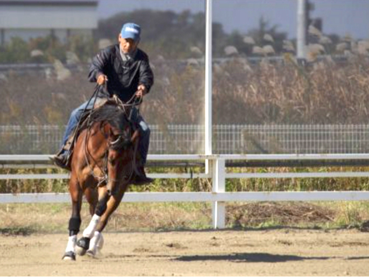【ビジターコース/45分】★乗馬経験を積まれたい方にもおすすめ!房総半島の広大な...