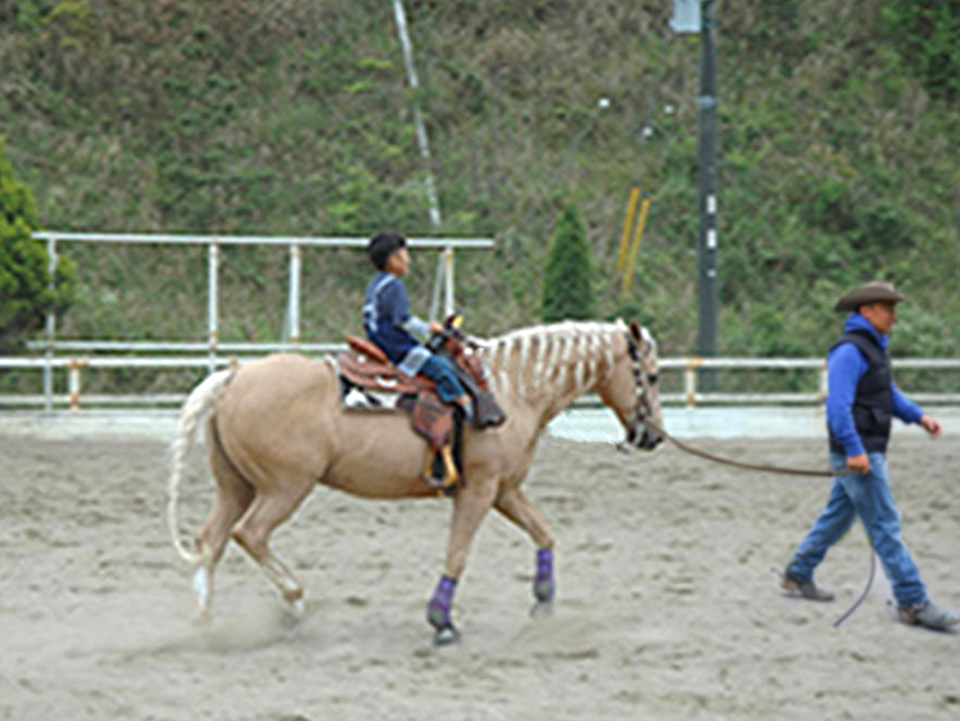 【引き馬体験/約5分】小さなお子様に大人気♪房総半島の広大な敷地で馬に乗ってお散...