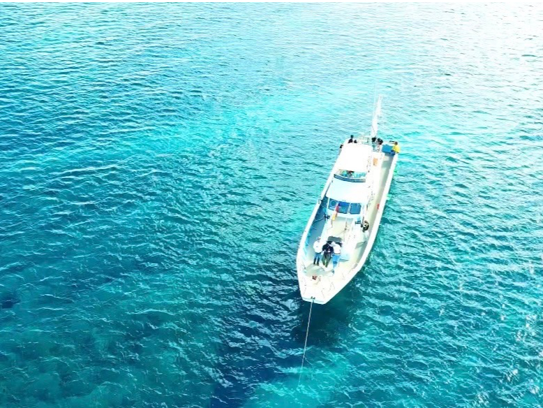 h[BeBeŉ̐CLOɎc܂I