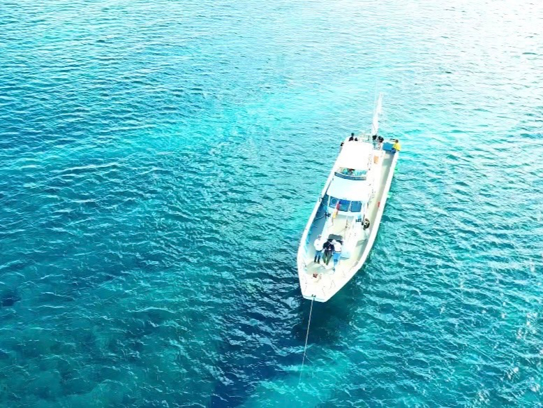 h[Bes܂I̐CLOɏo܂B