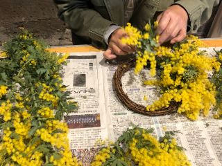 春を告げるお花 ミモザ を使ったリース作り体験 栃木