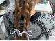 メイク後はヘアアレンジ。ヨシンモリやカチモリなどの韓国ヘアスタイルがおすすめ!ヘア用のリボンは付けて退店していただけます!