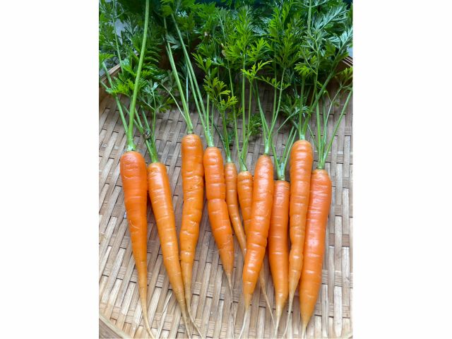 採れたてお野菜の美味しさをぜひお楽しみください!