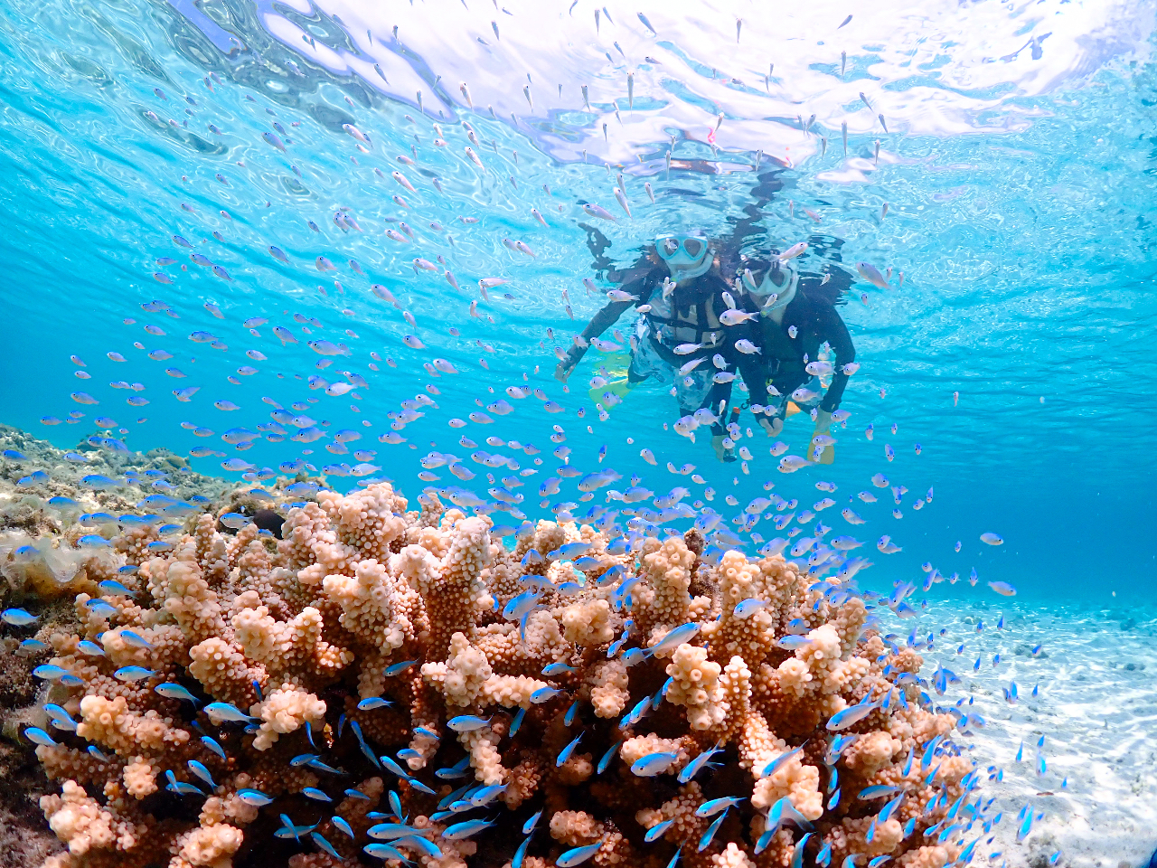 E~KƖڂIIAŌĂ݂悤I