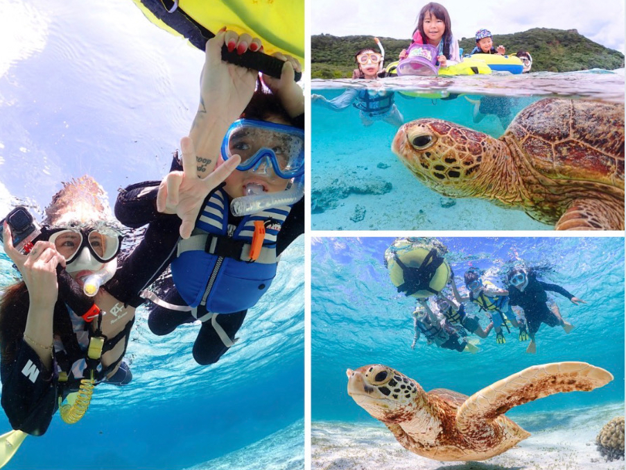 �E�~�K���̐H���V�[���I�I��H�͊C�������炨���̎��b�������H�I�����̓V���m�[�P�����O�c�A�[�ŁI�I