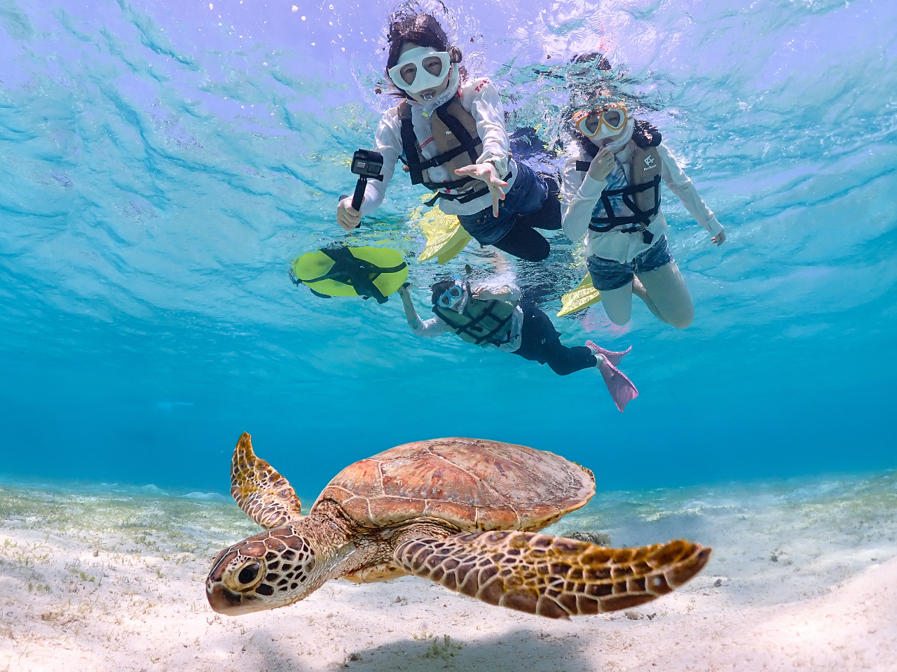 {Ó̊CꂽՂ̏oAE~KƖڂuԁB