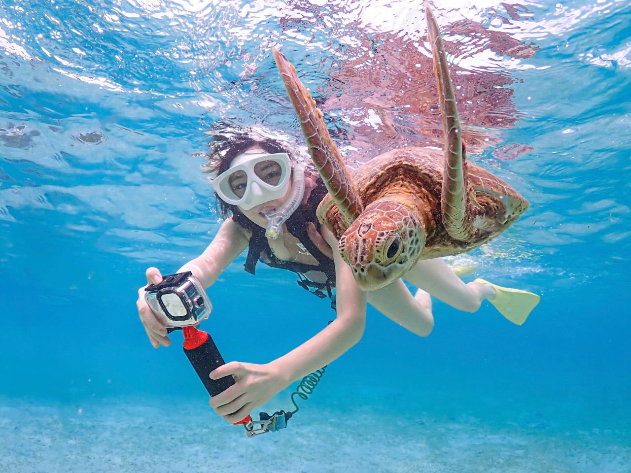 ̂тjE~KƖڂuԁAʂȏoɊB