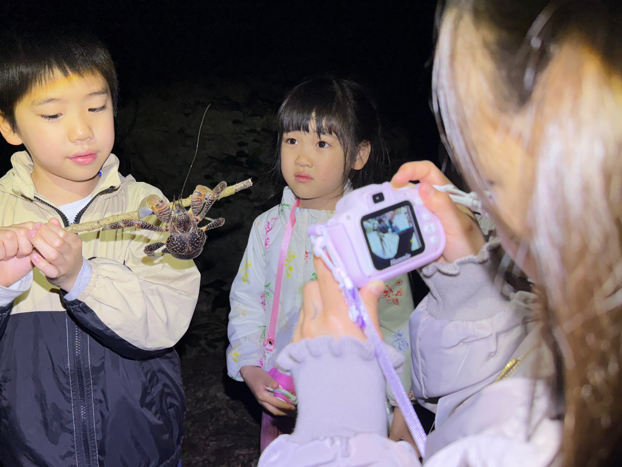 qlł劽}IqIIh̎Rł劈II