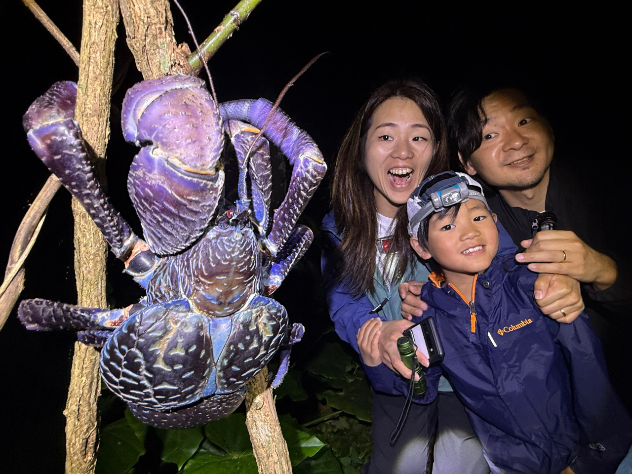 ƑŎQĂʔII{Ó̖̎voɂȂ邱ƊԈႢȂII