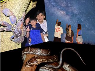 顔よりも大きいヤシガニを発見!!最大でOOサイズ!?続きはナイトツアーのお楽しみ!!