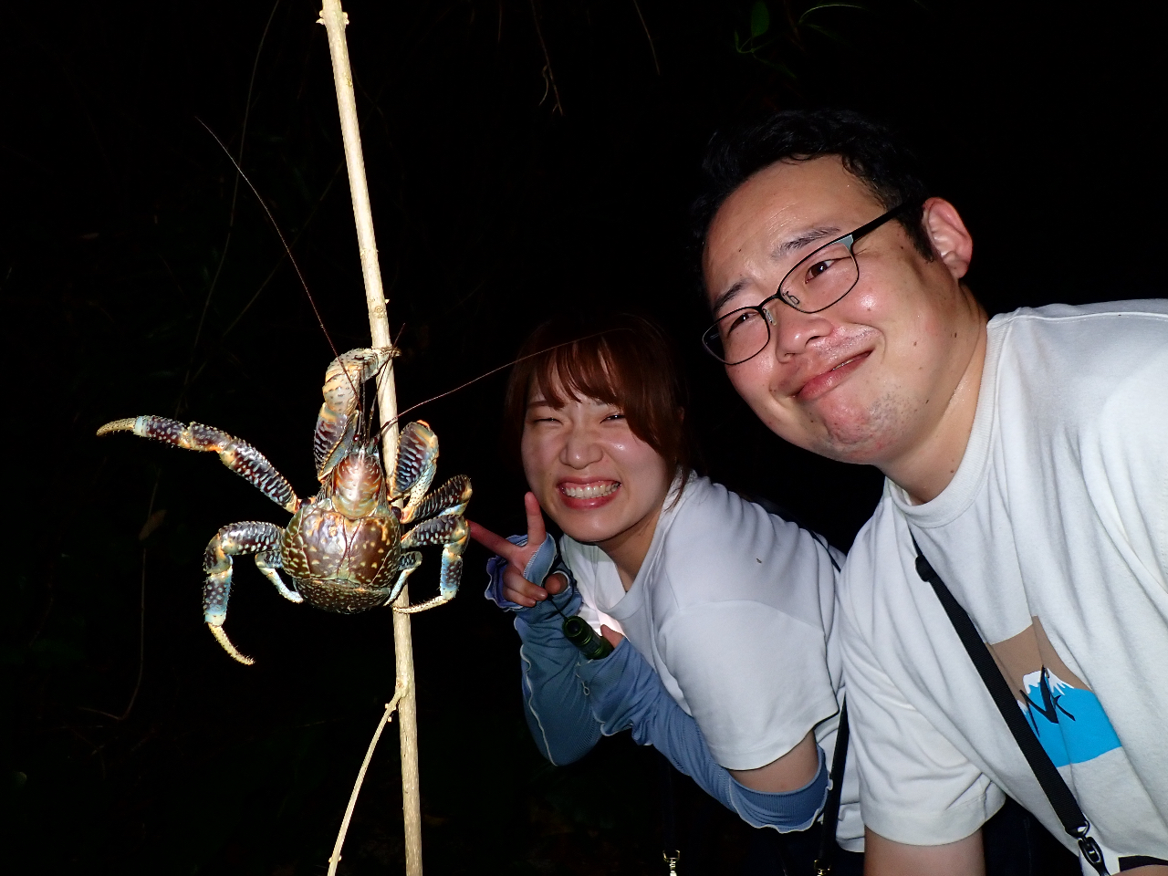 宮古島｜送迎可能！当日18:00まで予約OK！】ヤシガニ遭遇率ほぼ100