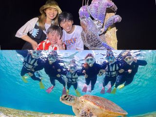 ウミガメ&ヤシガニに会いに行こう!!!