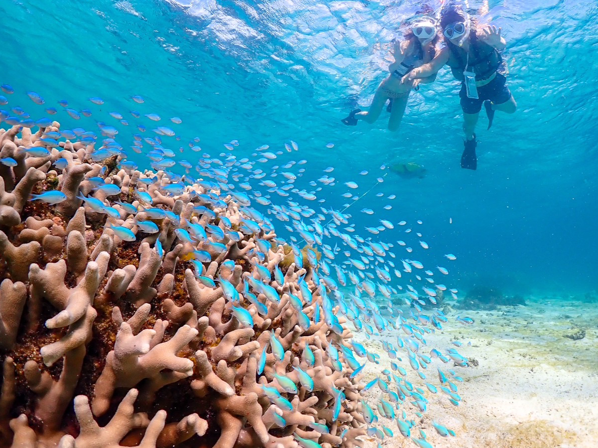 썑炵gsJȋƁA܂Ŗ̂悤ȂЂƂƂB