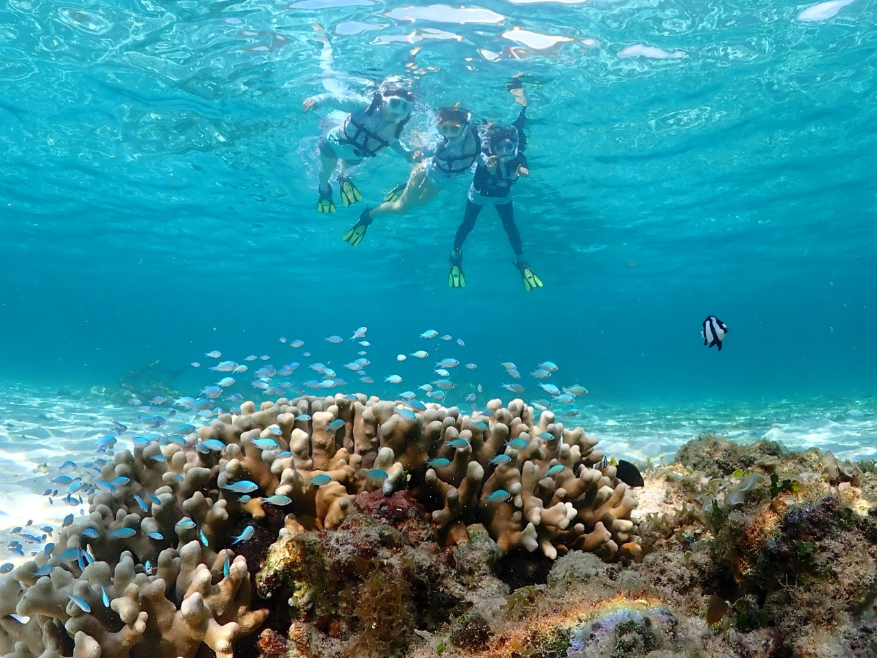 JtŉMыڂ̑OɁI{Ó̊CŊ̏o҂Ă܂B