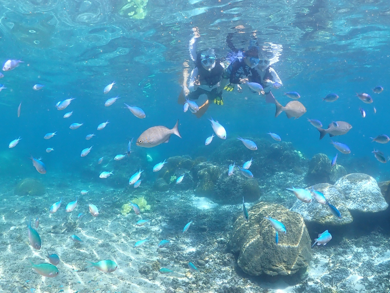 JtŉMыڂ̑OɁI{Ó̊CŊ̏o҂Ă܂B