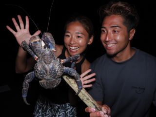 顔よりも大きいヤシガニを発見!!最大でOOサイズ!?続きはナイトツアーのお楽しみ!!