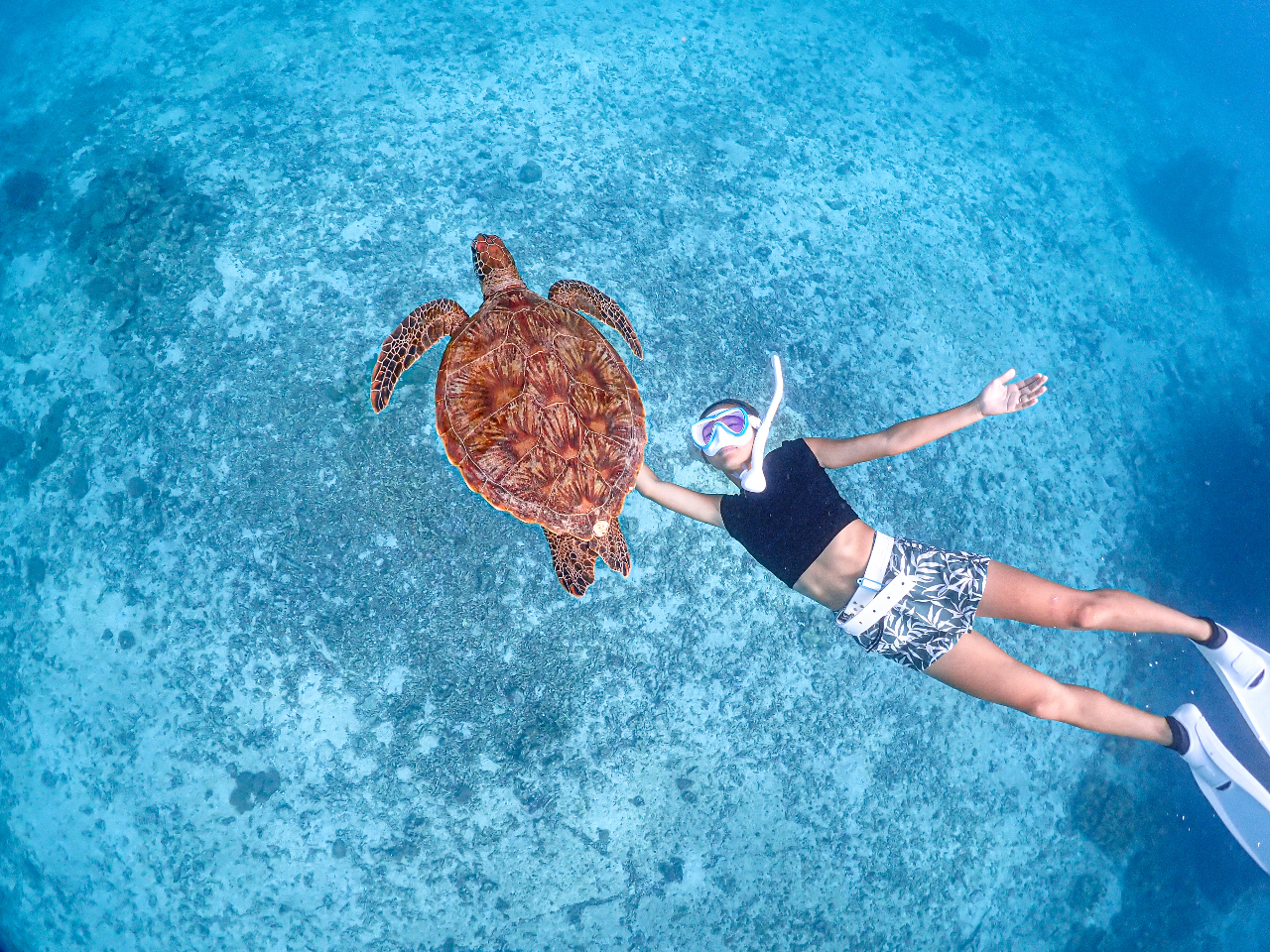 ̂тjE~KƖڂuԁAʂȏoɊB