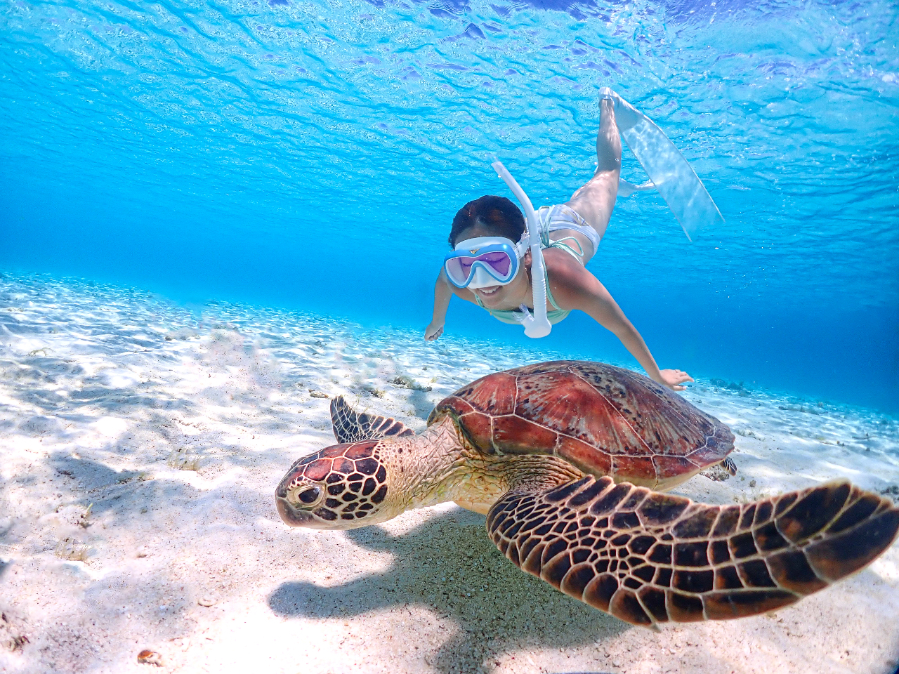 �E�~�K���A�߂Â��Ă��S�R�����Ȃ��̂��������I�I