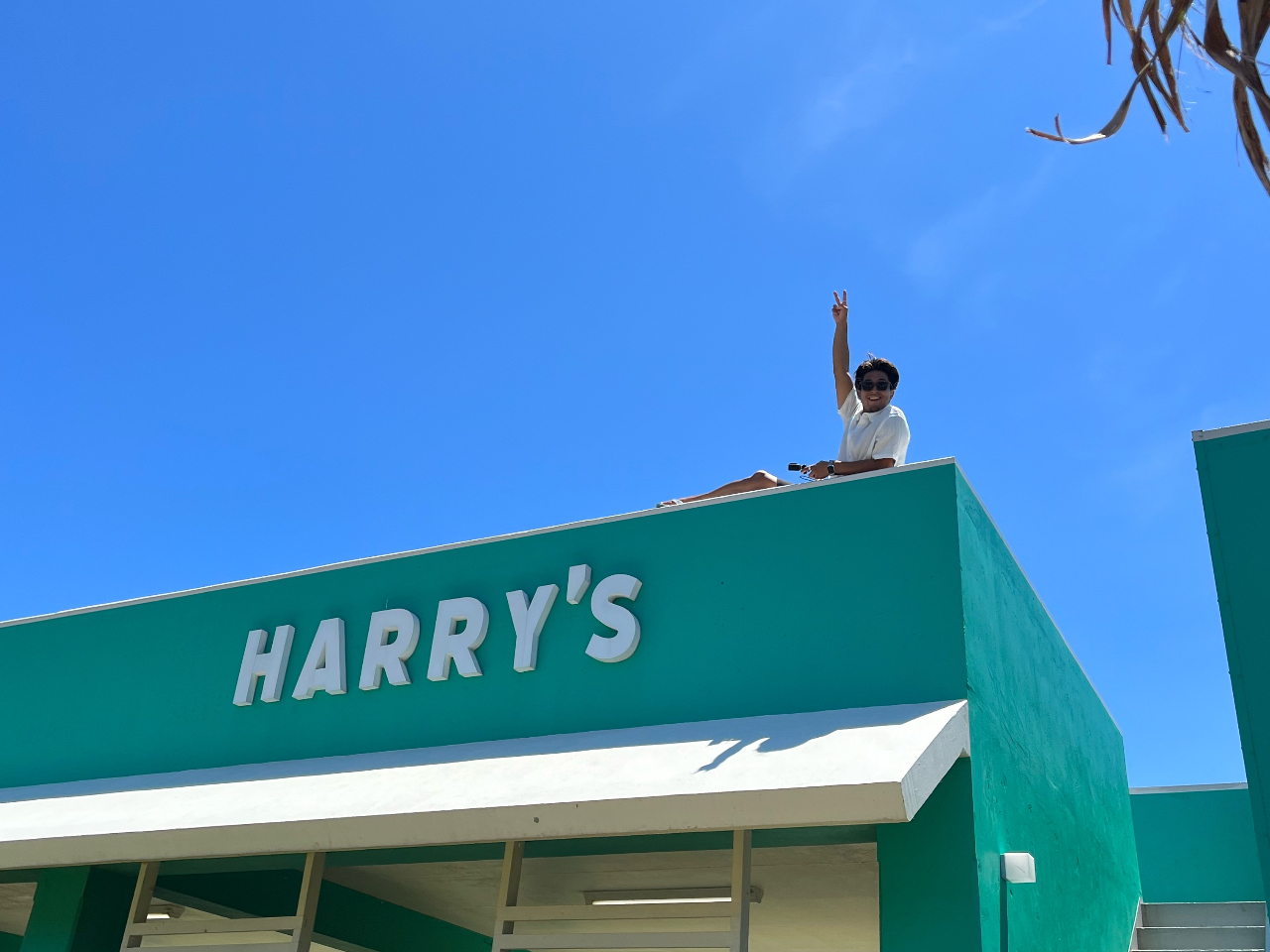 �I�V�����ŉ������щ�����������I