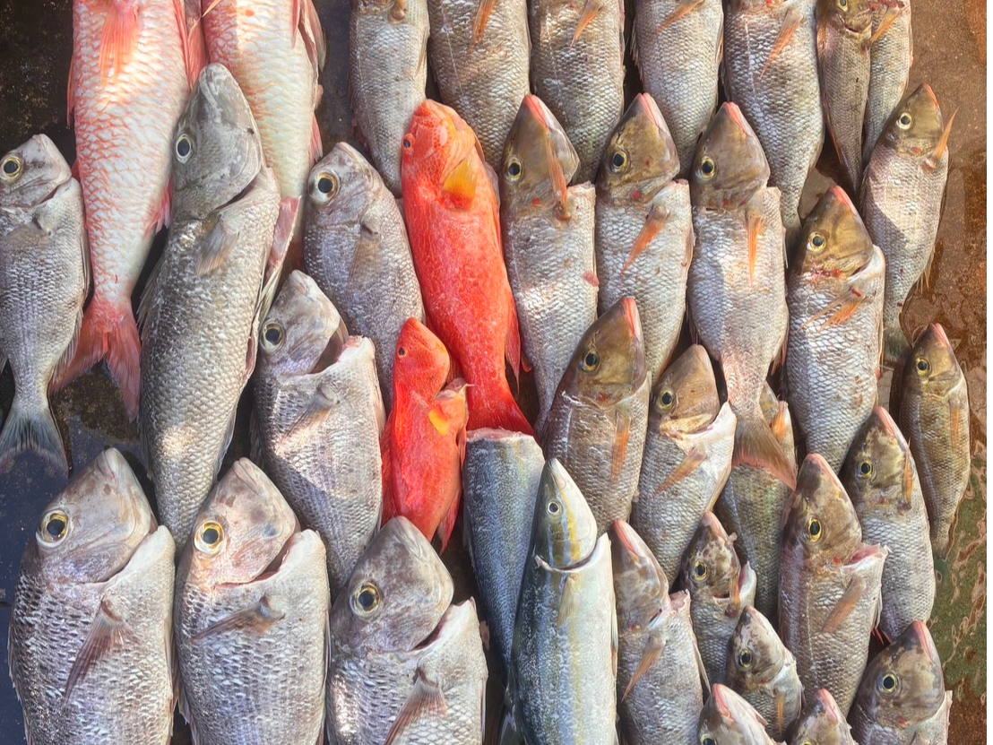 ��ʂɒނꂵ���I�I